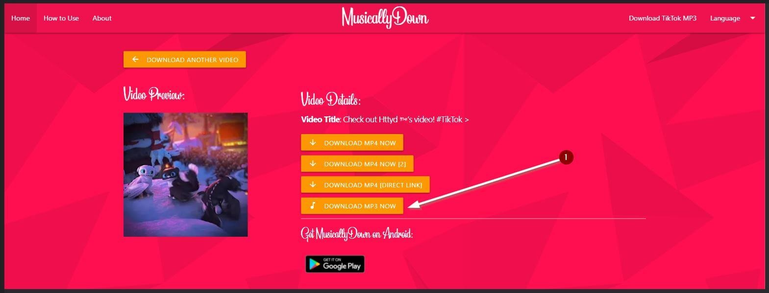 Download TikTok Photos Without Watermark – Fast, Clean & HD - SaveTik guide